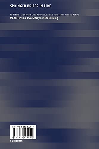 Model Fire in a Two-Storey Timber Building (SpringerBriefs in Fire)