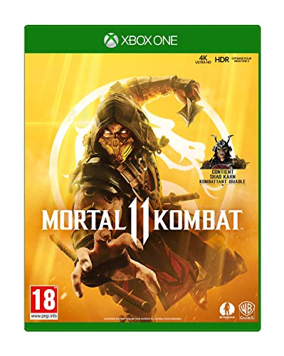 Mortal Kombat 11: Standard Edition [Importación francesa]