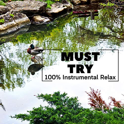 Must Try: 100% Instrumental Relax