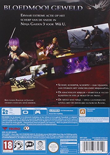 Ninja Gaiden 3 [Importación Francesa]
