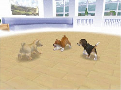 Nintendogs - Chihuahua & Friends