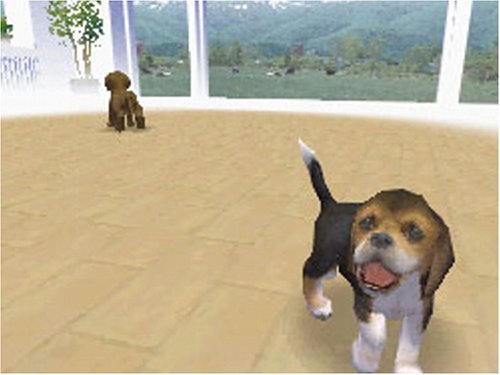 Nintendogs - Dachs & Friends