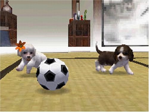 Nintendogs - Dachs & Friends