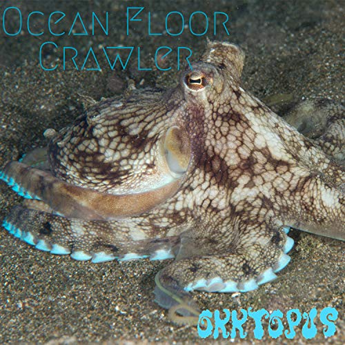 Ocean Floor Crawler