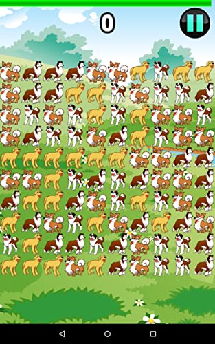 Pooch Smooch Neighbor