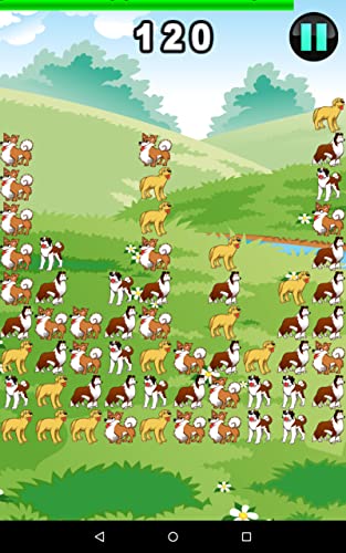 Pooch Smooch Neighbor