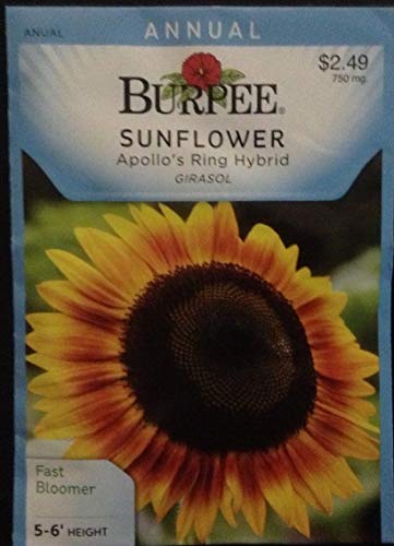 Portal Cool Paquete de se as: Tipo 6: Nuevas Se Asas Raras Perlas Chlorophytum Bonsai perenne Succluent My8L Cubierta 02