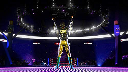 PS4 - WWE 2K20 - [PAL FR/NL - MULTILANGUAGE]