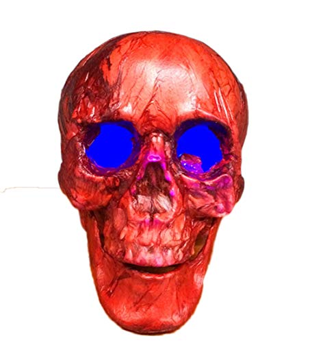 Rcsinway Tocados Halloween Horror Miedo casa embrujada Miedo con una cámara de luz cráneo momificado Decorativos Adornos apoyos (Color : Red)