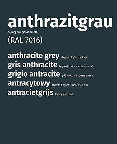 remmers Aidol – Pintura 750 ml (Antracita Gris RAL 7016)