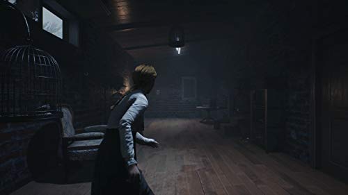 Remothered: Broken Porcelain for PlayStation 4 [USA]