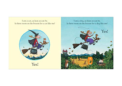 Room on the Broom: A Push, Pull and Slide Book