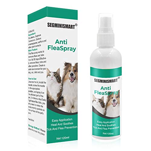 SEGMINISMART Pulgas Spray,Anti Pulgas,Flea Spray,Spray de protección contra pulgas y garrapatas para Perros,Pray Repelente de pulgas de Ingredientes Naturales para Perros Pulgas Garrapatas
