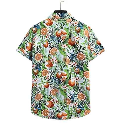 Shirt Hawaiana Hombre Verano con Estampado Vintage Hombre Camisa Transpirable con Botones De Cuello Kent Hombre Shirt Ocio Manga Corta Moderna Acampar Hombre Shirt Playa F-04 M