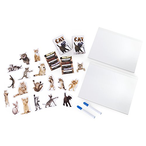 Spin Master Games The Cat Juego