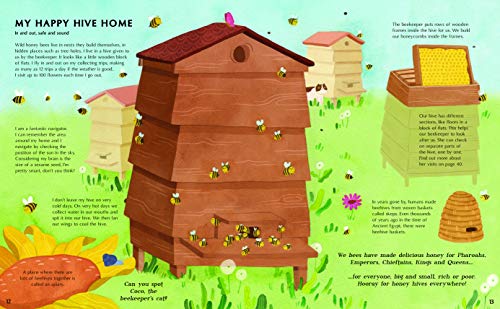 The Secret Life of Bees: Meet the bees of the world, with Buzzwing the honeybee