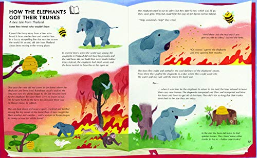 The Secret Life of Bees: Meet the bees of the world, with Buzzwing the honeybee