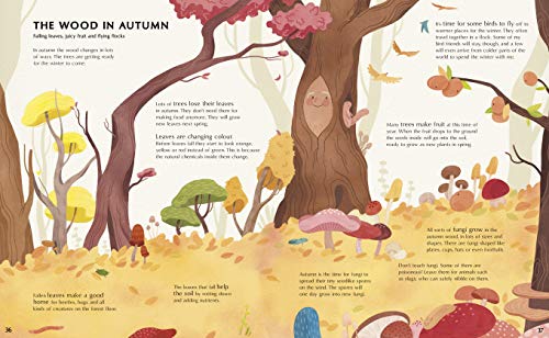 The Secret Life of Trees: Explore the forests of the world, with Oakheart the Brave