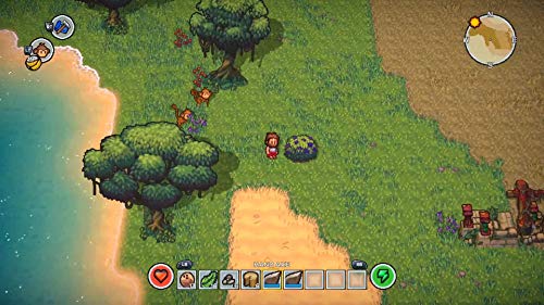 The Survivalists PS4