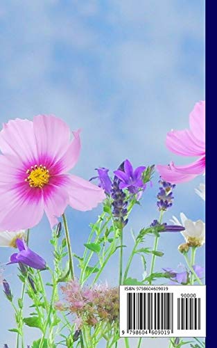 WTF Is My Password, Logbook To Protect Usernames password book small 5” x 7”: password log book and internet password organizer