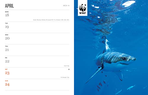 WWF, Amazing Wildlife - Agenda de lujo (A5, 2022)