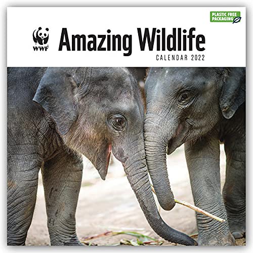 WWF Amazing Wildlife - Faszinierende Tierwelt 2022: Original Carousel-Kalender [Mehrsprachig] [Kalender]