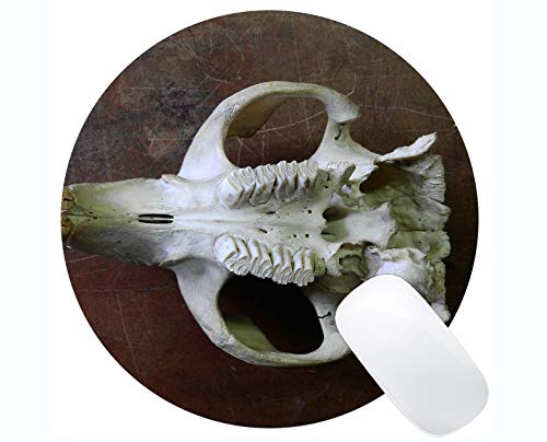 Yanteng El cojín de ratón Redondo CREA para requisitos particulares, Saco de ratón Redondo del Juego del cráneo Animal de la anatomía Sacro