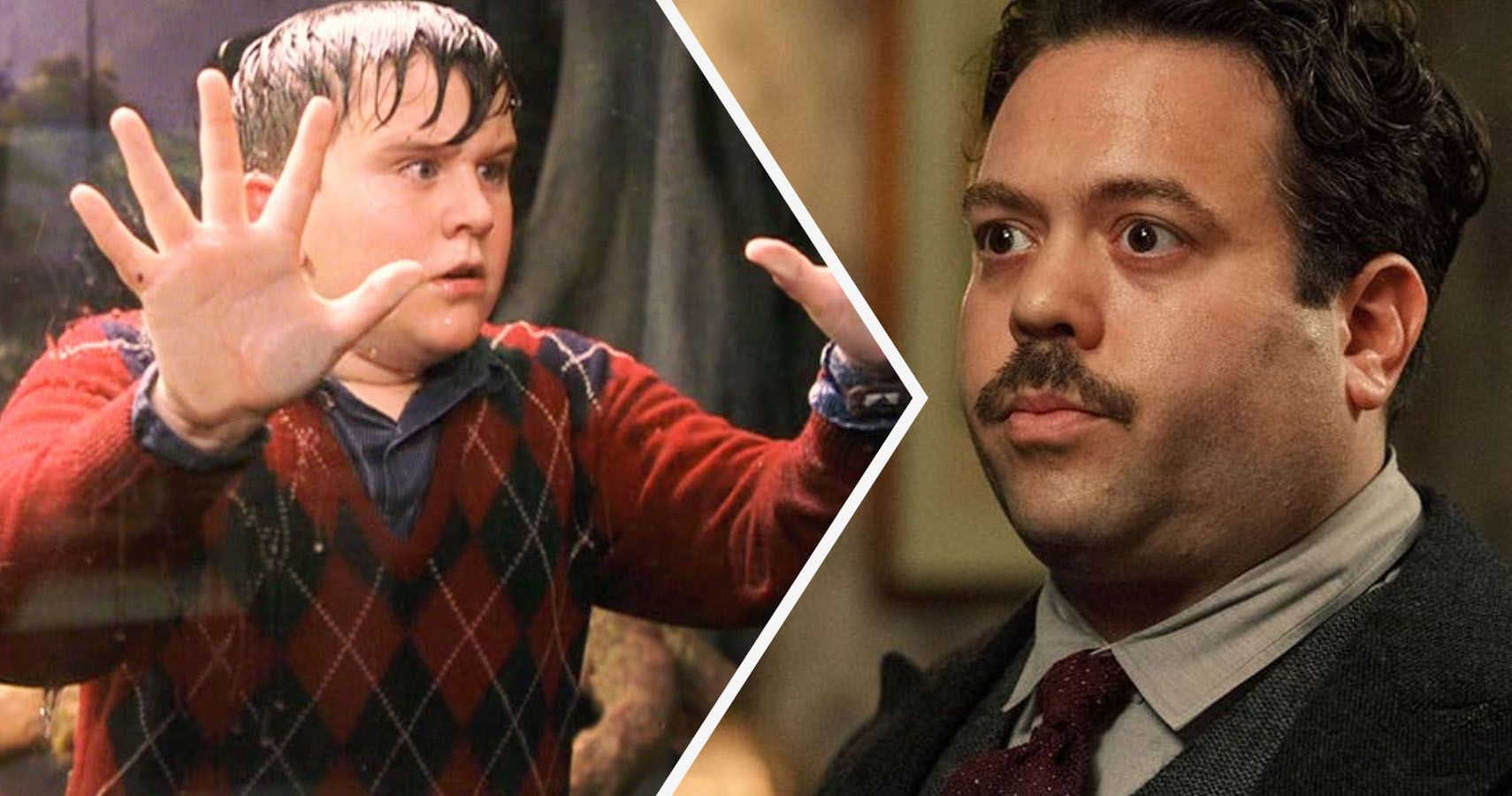 Harry Potter: 10 muggles que deberían haber sido magos