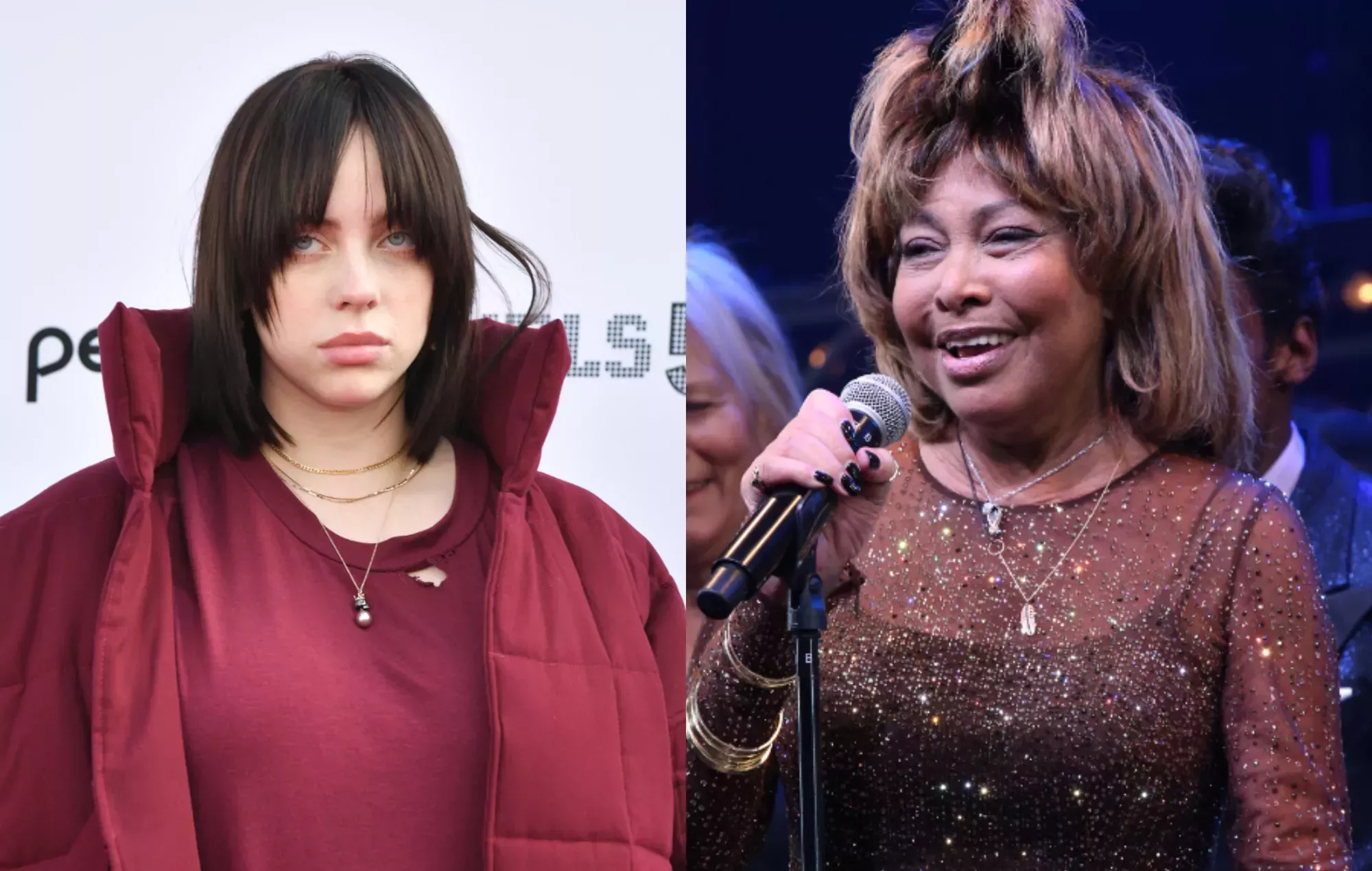 Los documentales sobre Billie Eilish, Tina Turner y otros pueden optar a los Oscar de 2022