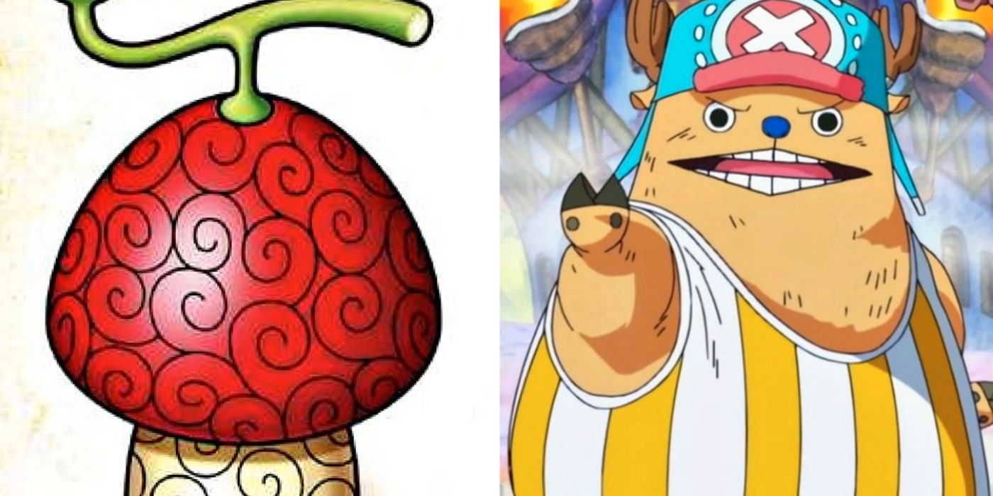 One Piece: 10 duras realidades de comer la fruta humano-humana