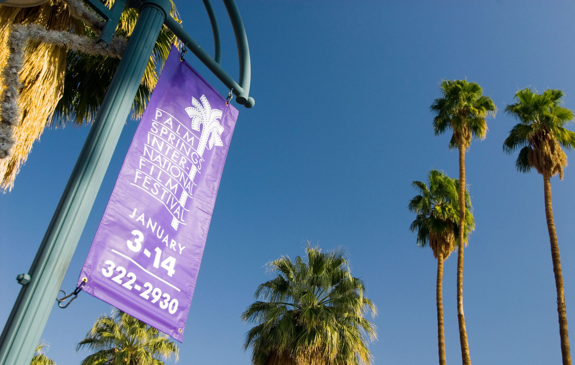 El Festival de Cine de Palm Springs 2022 se cancela debido a la oleada de COVID