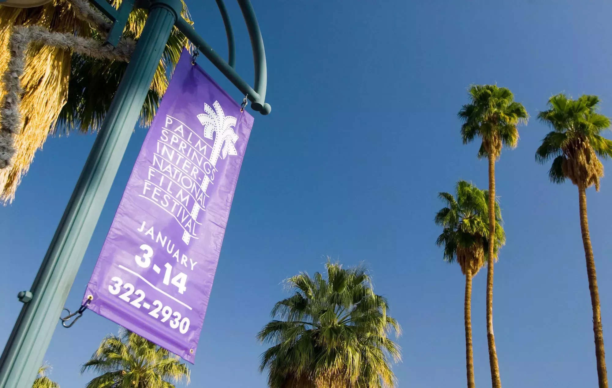 El Festival de Cine de Palm Springs 2022 se cancela debido a la oleada de COVID