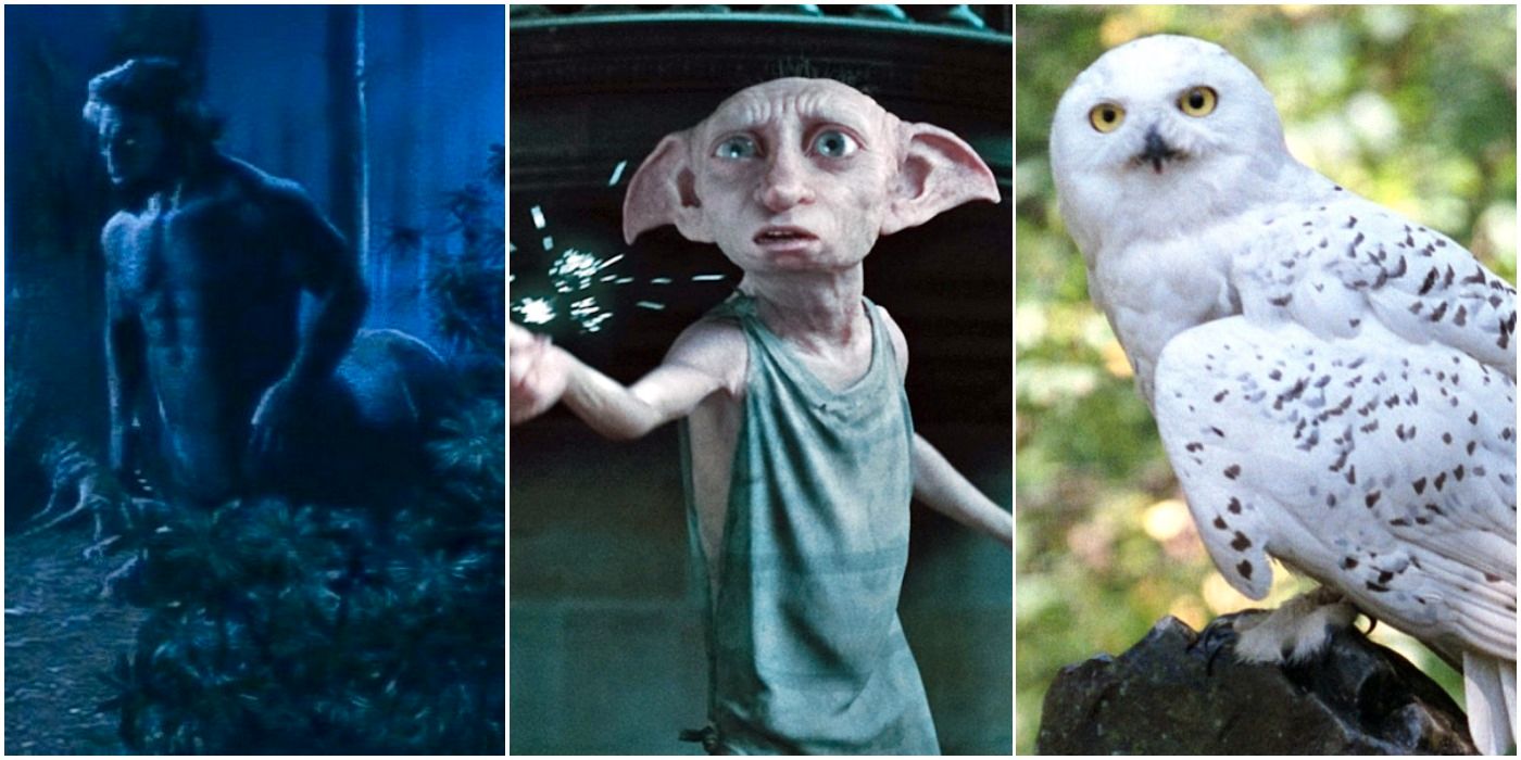 Harry Potter: Los 10 mejores personajes no humanos, clasificados