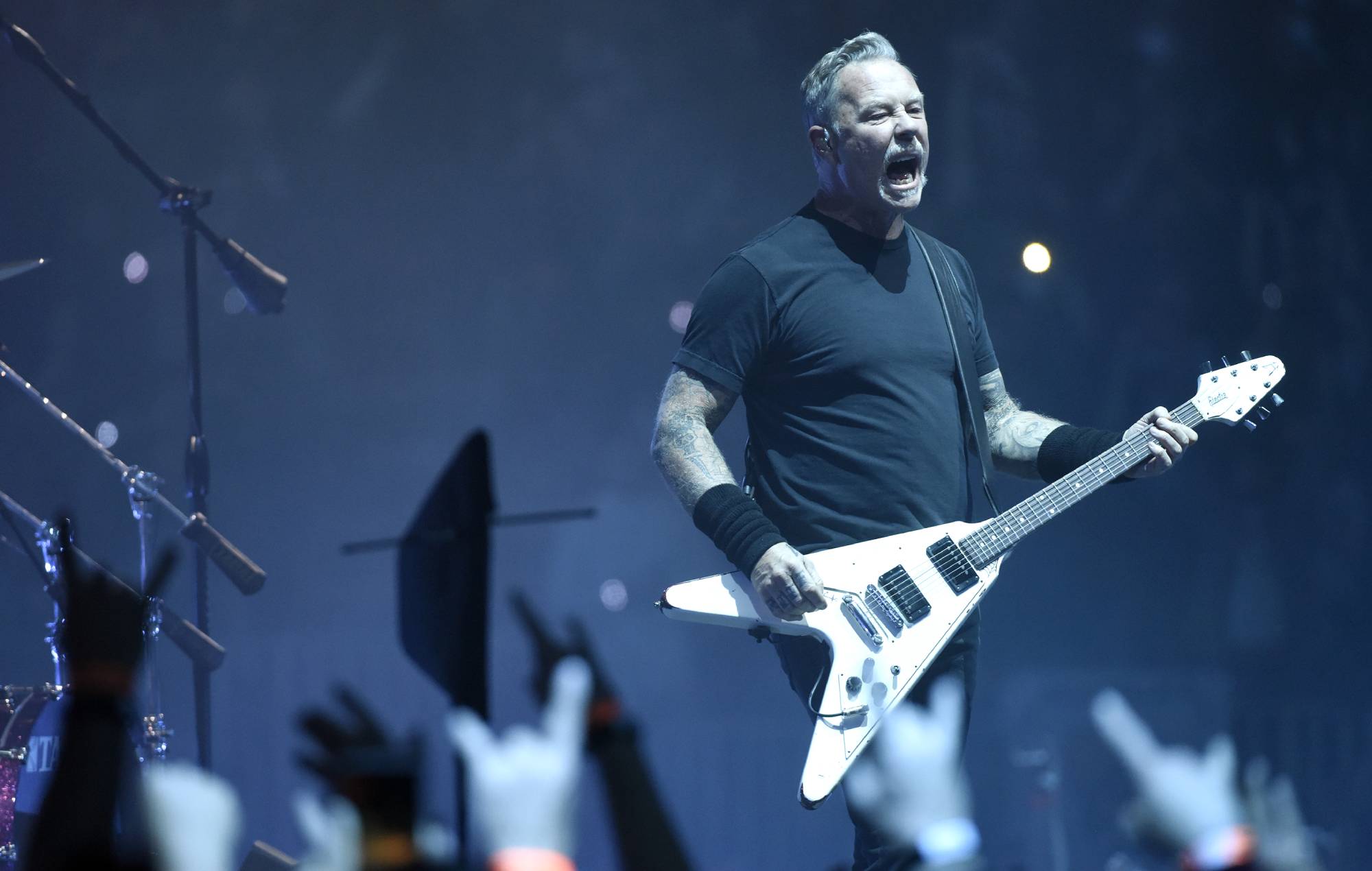 Perros especialmente adiestrados utilizados por Metallica, Tool y otros para detectar el COVID durante las giras