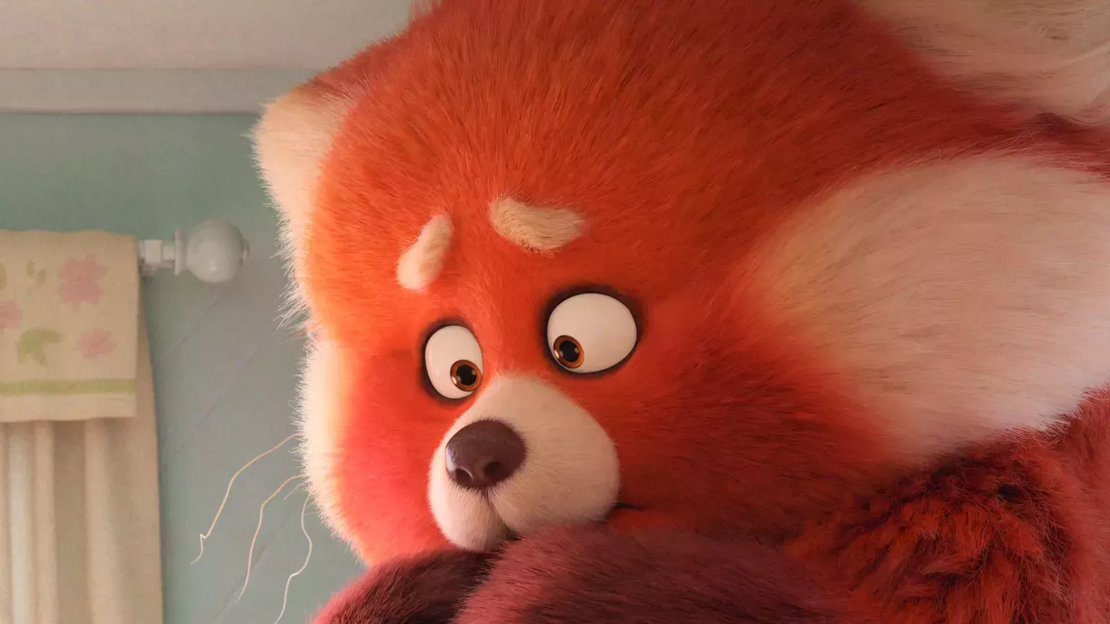 El color rojo nos recuerda que el cine es una máquina de empatía