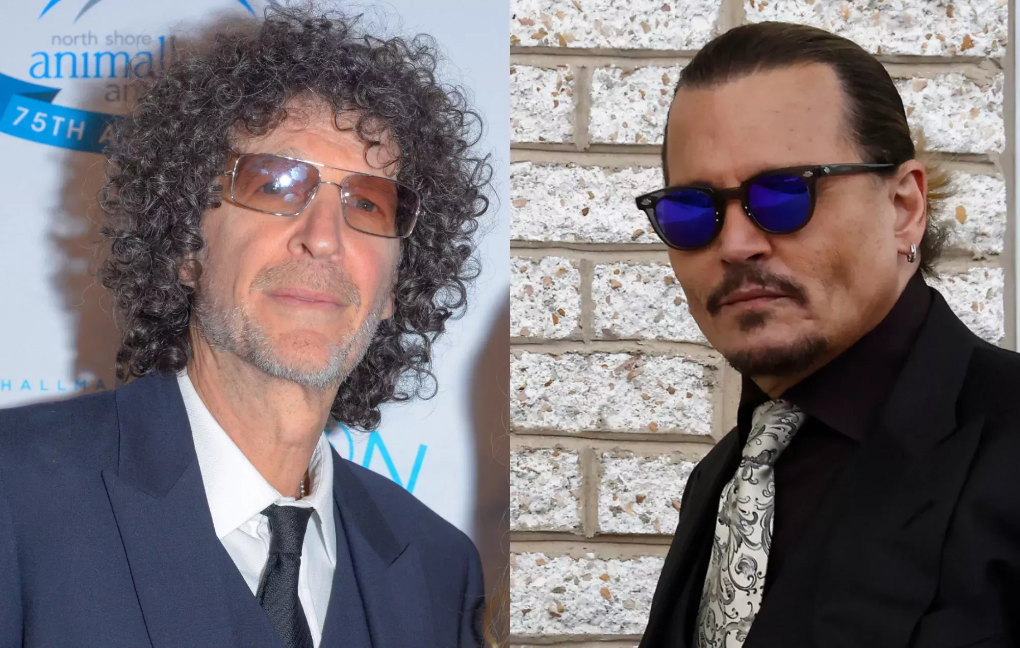 Howard Stern dice que Johnny Depp está 