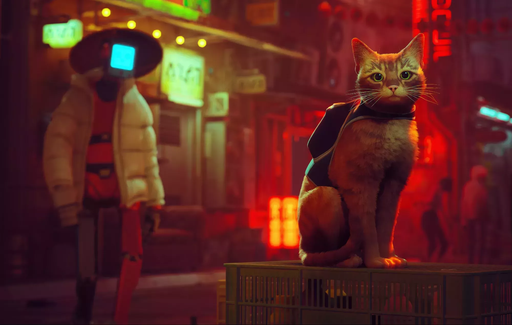 Avance de 'Stray': un brillante vistazo al juego más emocionante del verano