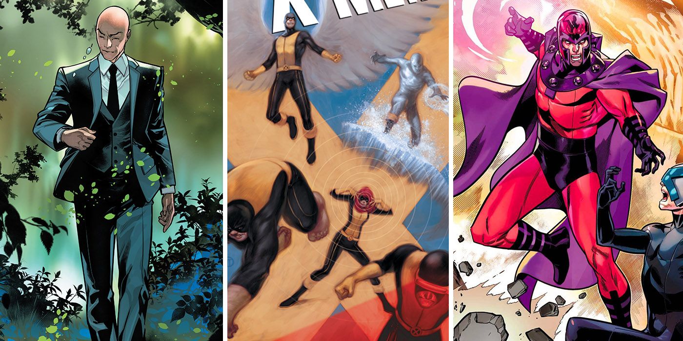 Los 10 mejores X-Men, clasificados por experiencia