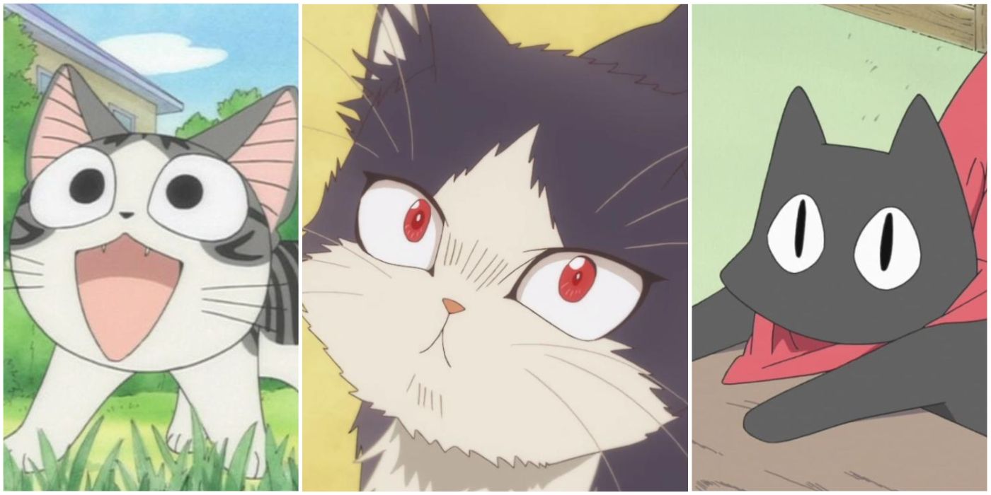 Los 10 mejores animes para los amantes de los gatos