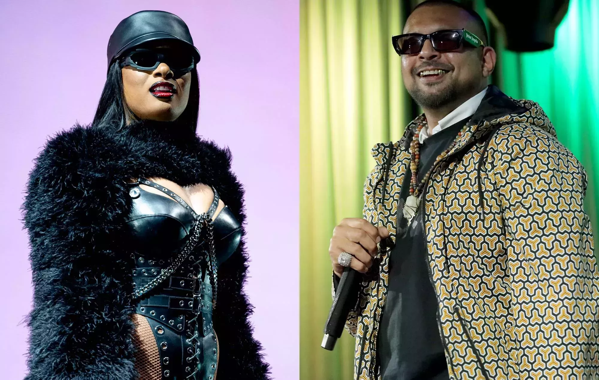 Megan Thee Stallion y Sean Paul son demandados por una supuesta infracción de los derechos de autor de 'Go Crazy'