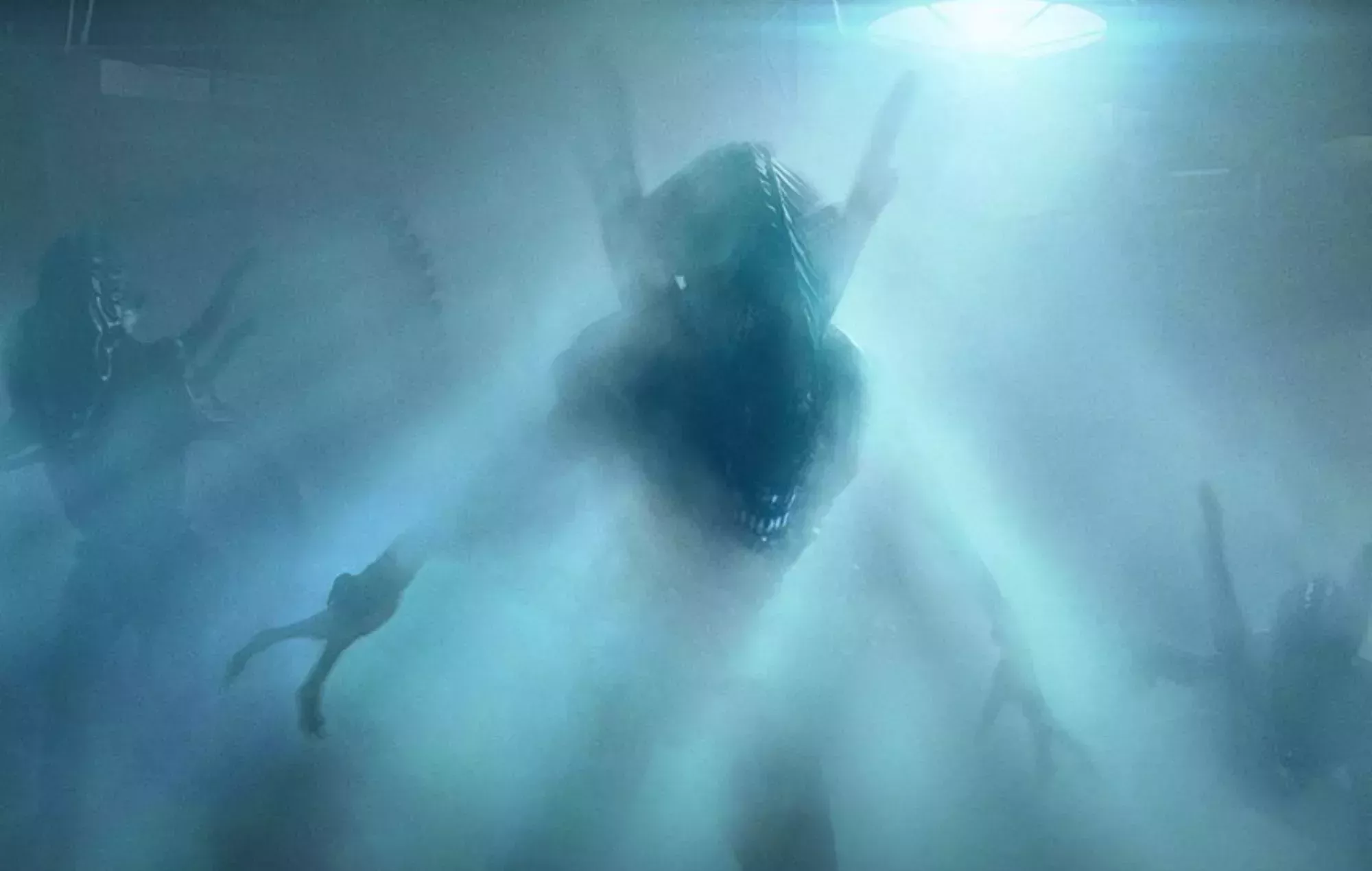 Se está preparando un juego de 