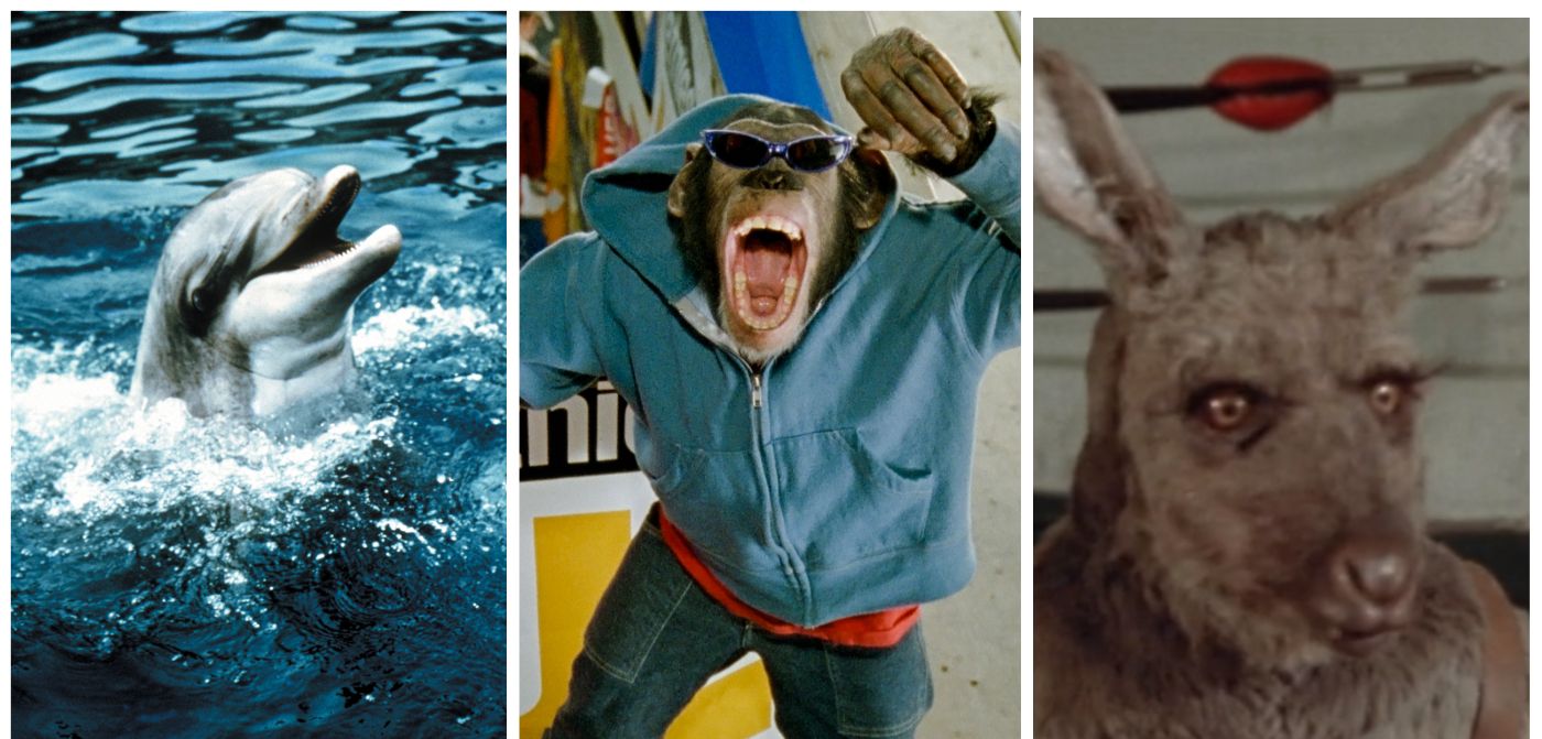 10 películas de acción real en las que el protagonista es un animal