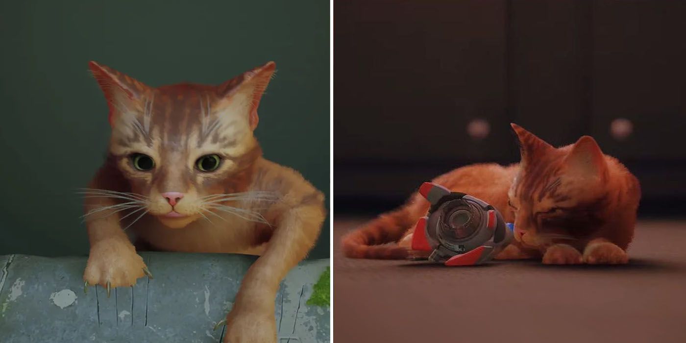 10 veces que Stray nos rompió el corazón