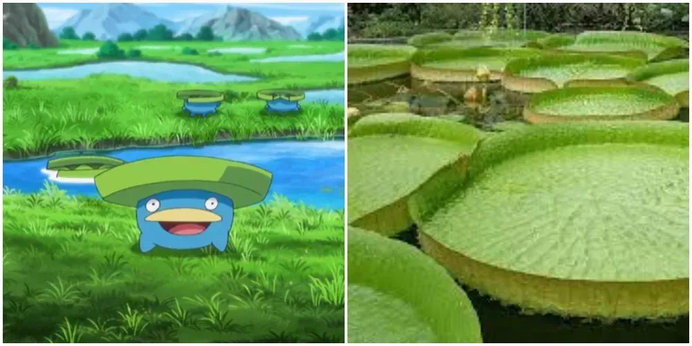 Pokemones en la vida real!!, Conoce las plantas que inspiraron al Pokémon  Victreebel! plantas carnívoras en la vida real, By Antigua Exotic Garden -  Pachamama Exóticas