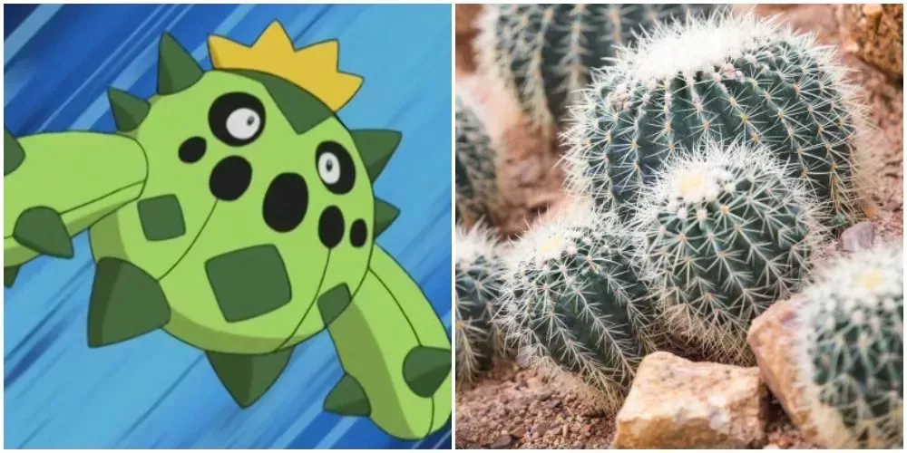 Tunas y Algo Mas - Sabias que el Pokemon Victreebel, está inspirada en la Planta  Carnivora Nephentes? El Pokemon se puede comer a sus oponentes. 🌿🍃En la  vida real esta planta puede