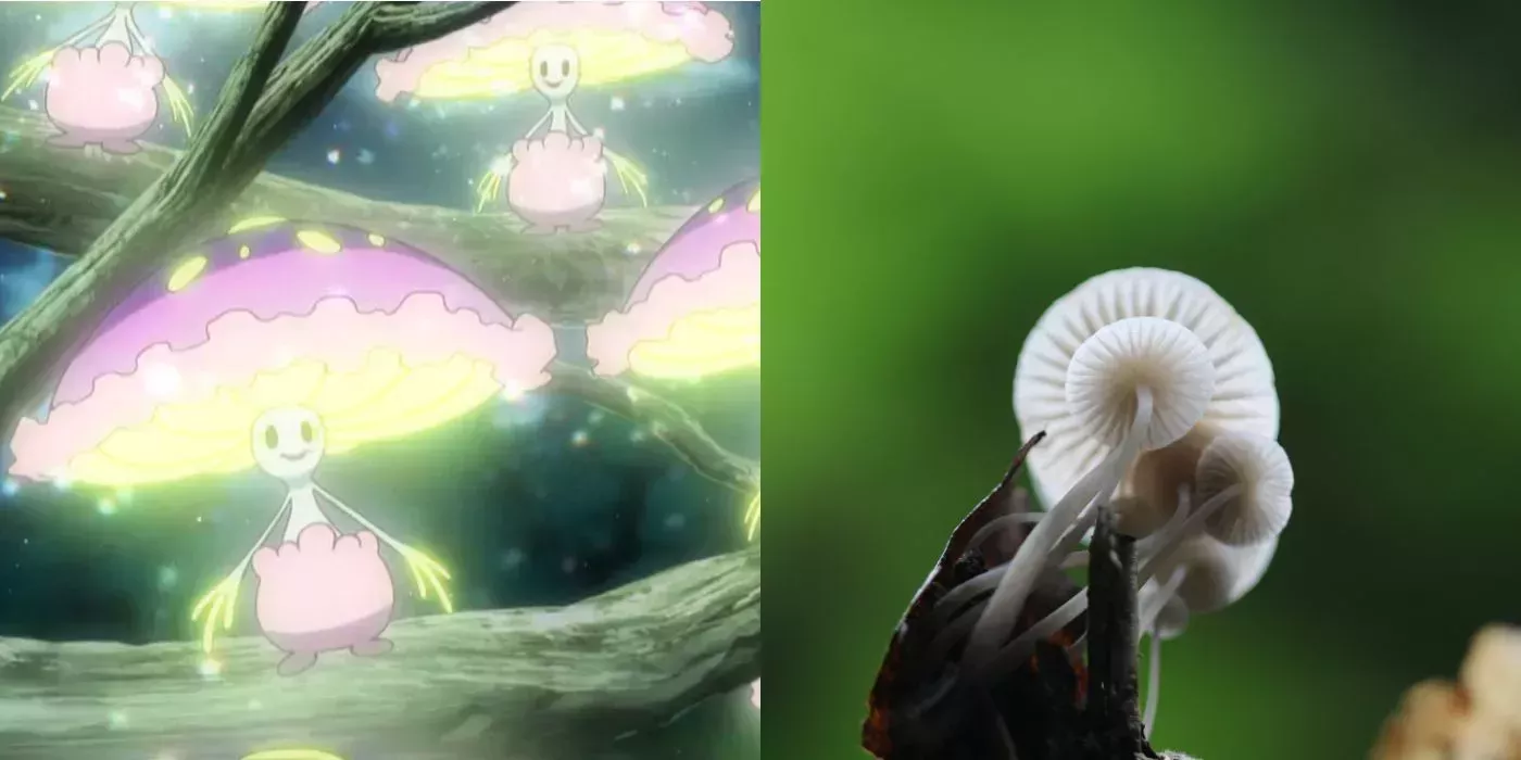 Mundo Pokémon - 756- Shiinotic. Tipo: planta/fada. Evolução: Estágio Final.  Histórico: Florestas onde os Shiinotic vivem são traiçoeiras para se entrar  à noite. Pessoas confusas por suas estranhas luzes nunca poderão encontrar