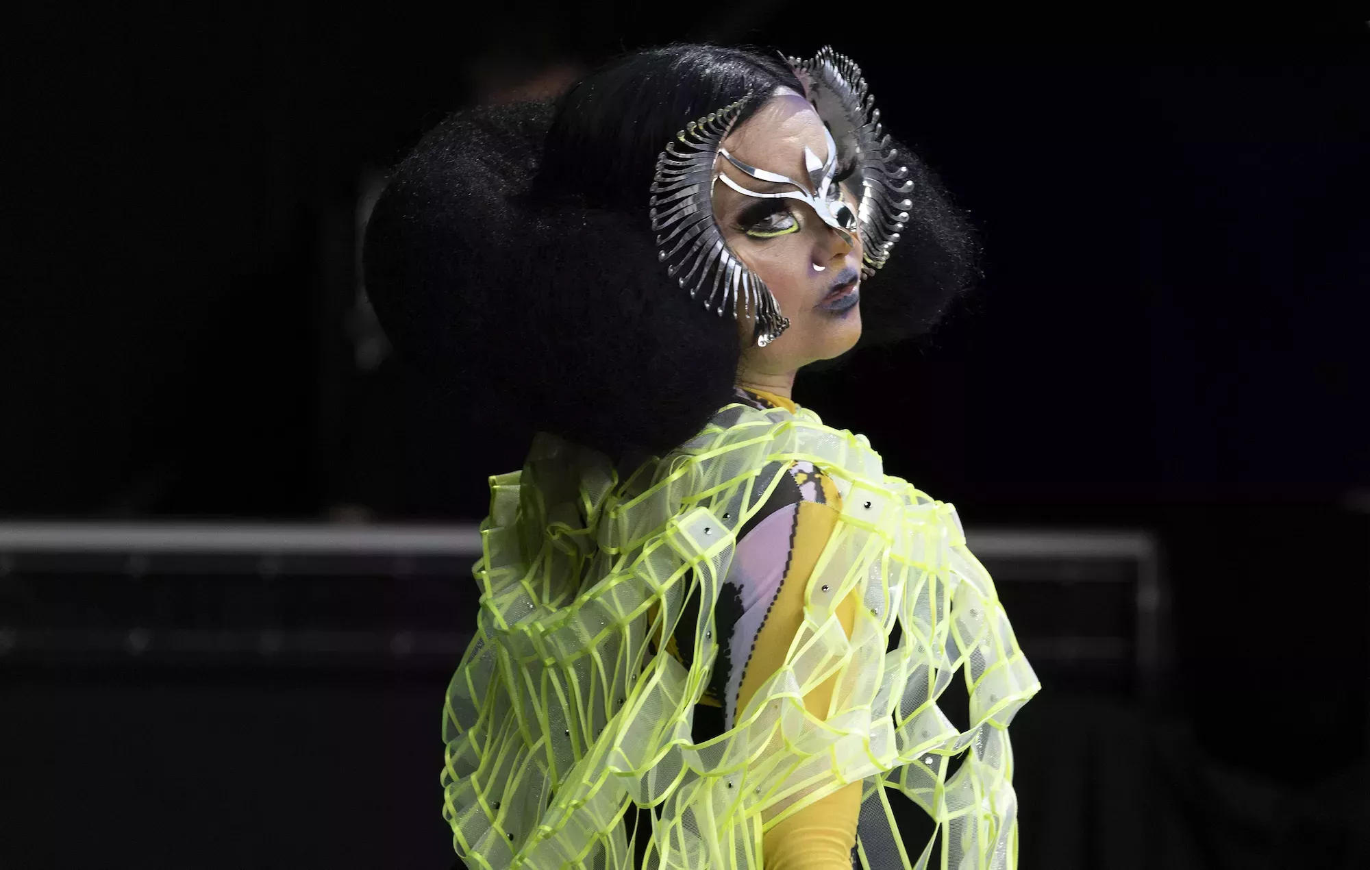 Björk comparte el arte de 'Fossora' y más detalles sobre su nuevo álbum