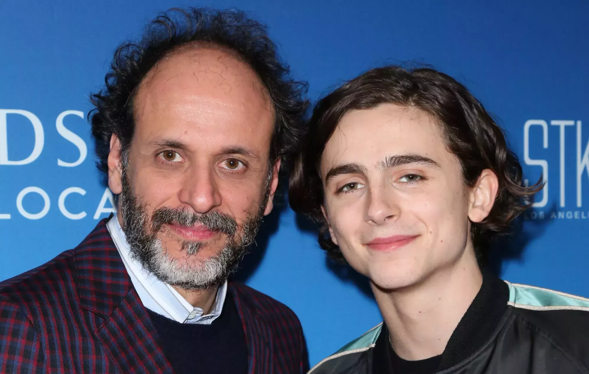Timothée Chalamet protagoniza el primer tráiler de 'Bones & All', de Luca Guadagnino