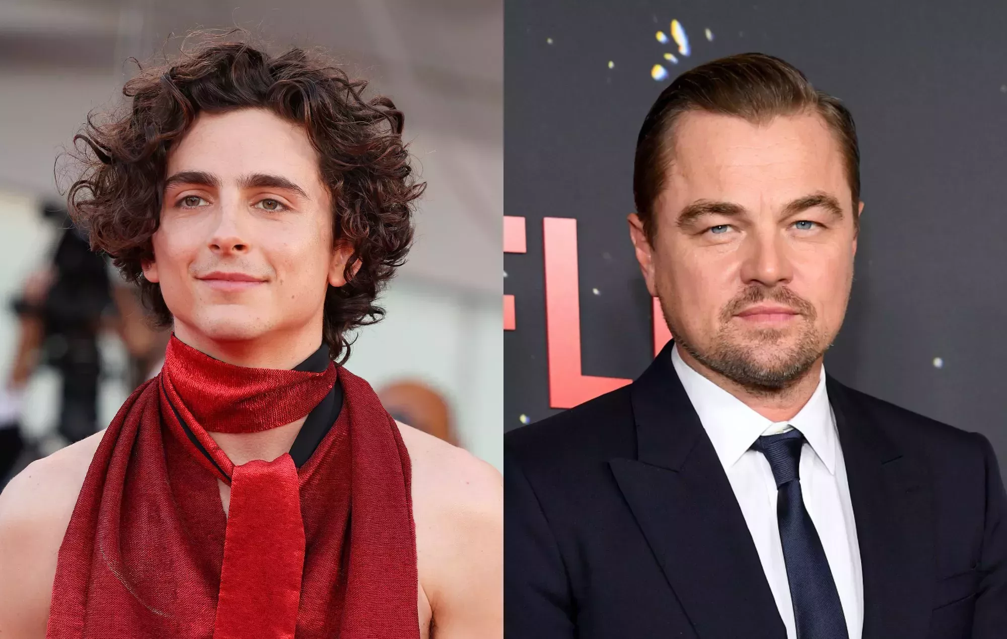 Timothée Chalamet comparte un consejo profesional que le dio Leonardo DiCaprio