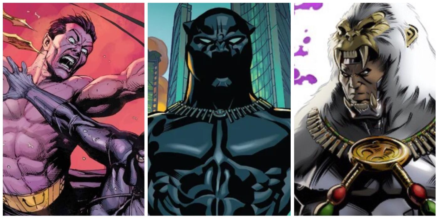 10 Piezas De Marvel Lore Black Panther: Wakanda Forever debería explorar
